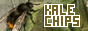 kalechips.net